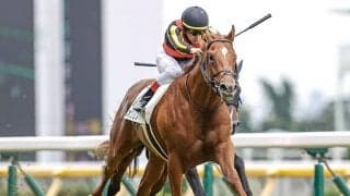 【札幌2歳S】出走馬・騎手確定 ジオグリフ＆C.ルメール騎手、リューベック＆横山武史騎手など10頭