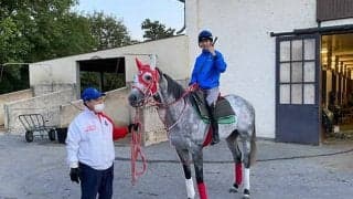 フランス遠征中の坂井瑠星騎手が現地の様子を公開「目標は二つあります」