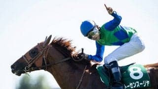 【新潟記念】出走馬・騎手確定 ザダル＆石橋脩騎手、トーセンスーリヤ＆横山和生騎手など17頭