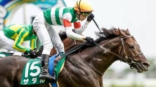 【新潟記念注目馬】ザダル　極上の切れ味を武器に重賞連勝へ