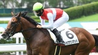 【小倉2歳S枠順確定】ショウナンマッハは3枠3番、スリーパーダは7枠7番