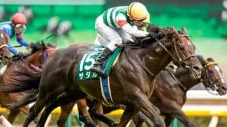 【新潟記念枠順確定】ザダルは1枠2番、トーセンスーリヤは大外8枠17番