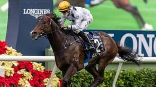 【海外競馬】香港マイル王ゴールデンシックスティに来年の安田記念参戦プラン