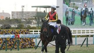 【京成杯AH想定】朝日杯FS覇者グレナディアガーズ、中山巧者スマイルカナ・コントラチェックなど20頭