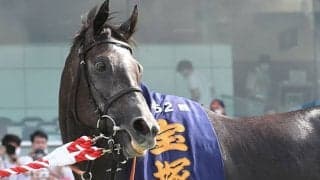 【凱旋門賞】JRAがクロノジェネシス、ディープボンドへの応援メッセージを募集