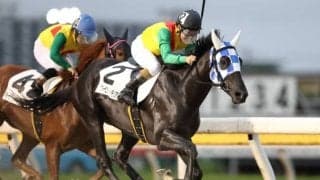 【船橋・アローセプテンバー・メモリアル結果】左海誠二騎手騎乗のカイル人気に応えて連勝