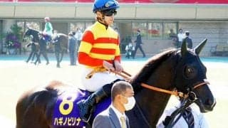 【紫苑S想定】桜花賞3着馬ファインルージュ、オークス3着馬ハギノピリナなど20頭