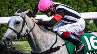 【セントウルS想定】カレンモエは松山弘平騎手、レシステンシアはC.ルメール騎手