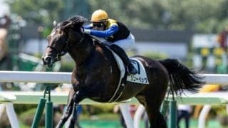 【本日の注目ポイント】重賞は札幌2歳S　藤田晋氏所有の超高額馬ドーブネがデビューなど