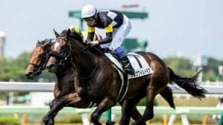 【札幌2歳S】翌年のクラシックを賑わせるような馬が名を連ねる注目のレース