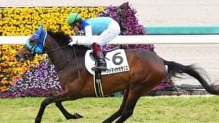 新潟記念で狙いたい万馬券。上がり馬と人気薄の実力馬、デムーロ騎手の騎乗馬に期待