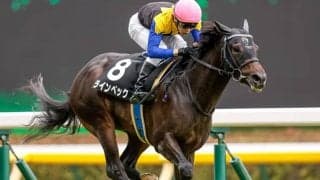 【新潟記念予想】荒れるハンデ重賞で狙い目は？　天候と条件から浮上した3頭/JRA重賞レース展望