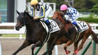 【小倉5R新馬戦結果】ダークペイジが好位から抜け出てデビュー勝ち