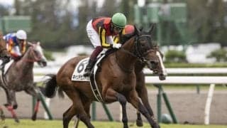 【新潟5R新馬戦結果】キャンデセントが鋭く伸びて断然人気に応える
