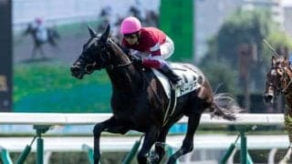 【札幌5R新馬戦結果】藤田晋氏所有の5億円ホース・ドーブネが大外から差し切り完勝