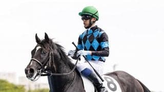 【札幌2歳S】競走除外のダークエクリプスは両前肢挫創、1ヶ月の出走停止期間以降に発走調教再審査