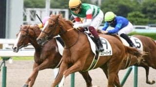 【小倉2歳S】スリーパーダ斉藤師「だいぶ芯が入ってきた」/ねぇさんのトレセン密着