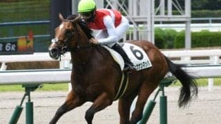 【小倉2歳S前日オッズ】ショウナンマッハが2.8倍で1番人気