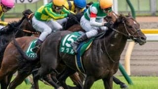 【新潟記念前日オッズ】ザダルが4.4倍で1番人気