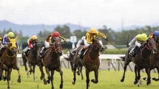 【万哲の馬場予報】土曜の雨の影響が残るなら中から外差しが優勢か!?