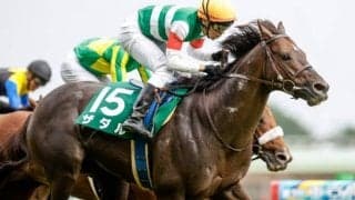 【WIN5予想】新潟記念は馬齢や馬格が明暗を分けそう