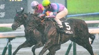 【小倉2歳S予想】レースクラスの高い前走を勝っても危険!? 慎重になるべきは小倉芝1200m巧者で知られる…/JRAレース展望