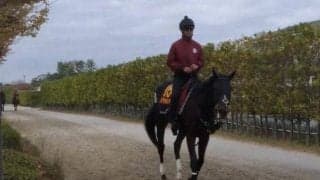 【新潟記念】リアアメリア陣営「リフレッシュされていい状態」/ねぇさんのトレセン密着