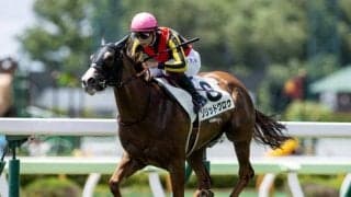 【小倉2歳S】持ち前の加速力で新馬戦を圧勝したあの馬に期待