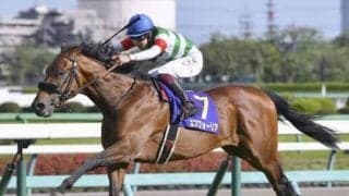 エフフォーリアの弟、ヴァンガーズハート。注目度高い期待馬は「見栄えがする馬格」