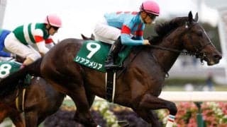 【新潟記念予想】なぜか「1番人気」と「牝馬」が成績出ない？穴狙いこそが正攻法の新潟記念を探る！