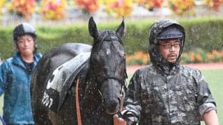 【JRA】和田竜二騎手が負傷のため乗り替わり、小倉2歳Sのナムラクレアは浜中俊騎手に