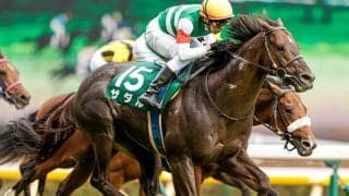 【新潟記念・馬体重】ザダルは504kg(0)、トーセンスーリヤは488kg(+6)