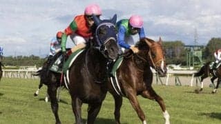 【新潟記念結果】12番人気マイネルファンロンが外ラチ沿いから差し切り重賞初制覇！