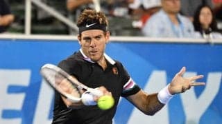 デル ポトロが「全米オープン」会場に帰ってくる