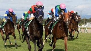 【JRA】トーセンスーリヤがサマー2000シリーズ王者に！函館記念優勝、新潟記念2着