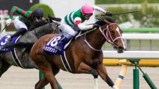 秋競馬開幕！ 今週末はセントウルS・京成杯AH・紫苑Sの3重賞/今週の競馬界の見どころ