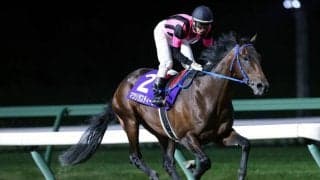 【盛岡・不来方賞】マツリダスティールが能力の違いを見せつけ完勝！