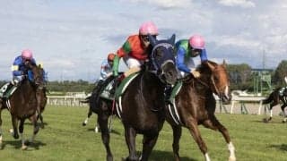 【新潟記念】売上は70億1082万4200円で昨年からおよそ6.5億円の増加