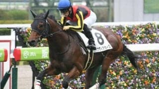 【京成杯AH見どころ】グレナディアガーズの重賞2勝目なるか