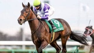 【紫苑S見どころ】キズナ産駒ファインルージュが巻き返しを狙う