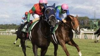 ステイゴールド産駒 史上7頭目の16年連続重賞勝利