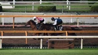 母はクイーンC勝ち馬、アドマイヤラヴィが武豊騎手でデビュー/関西馬メイクデビュー情報