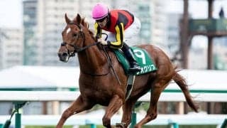 ジオグリフの勝利で父ドレフォンが2歳種牡馬ランキング首位に