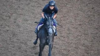 クロノジェネシスなど、先週の入厩情報/栗東トレセンニュース