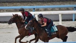 ラニカイなど、先週のゲート試験/栗東トレセンニュース