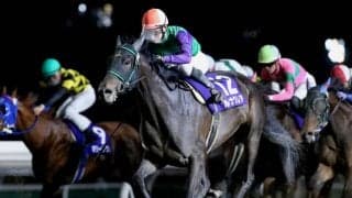 【門別競馬情報】57キロ背負うルナクレア、マリノエクスプレスらの走りや如何に。絶好調フリーホースカップ、実績馬レッドカード、53キロの3歳馬トンデコパらにも注目「にいかっぷオープン」/地方競馬情報