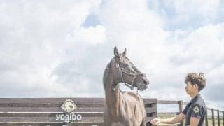 Yogiboがヴェルサイユリゾートファームとネーミングライツ契約を締結　タニノギムレットやヒルノダムールなどを繋養