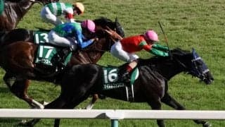 【新潟記念】伏兵マイネルファンロンが外ラチ沿いを突き抜ける