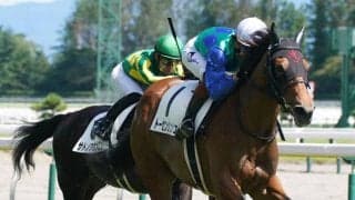 【新馬/新潟5R】ダイワメジャー産駒 トーセンシュシュがデビューV