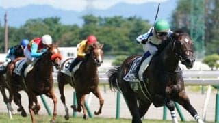 【新馬/新潟6R】ノヴェリスト産駒 カールスモーキーがデビューV